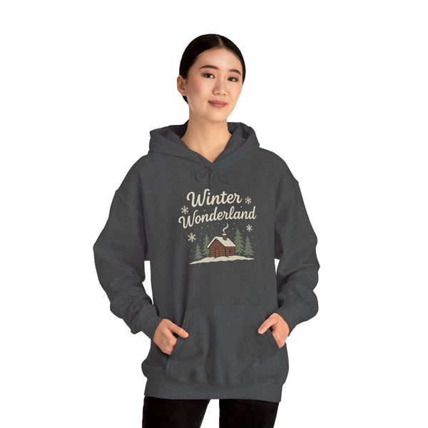 Person wearing a dark gray hoodie with 'Winter Wonderland' design on a white background